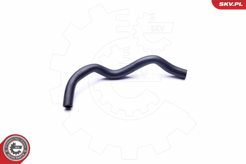 Hose, crankcase ventilation 31SKV123