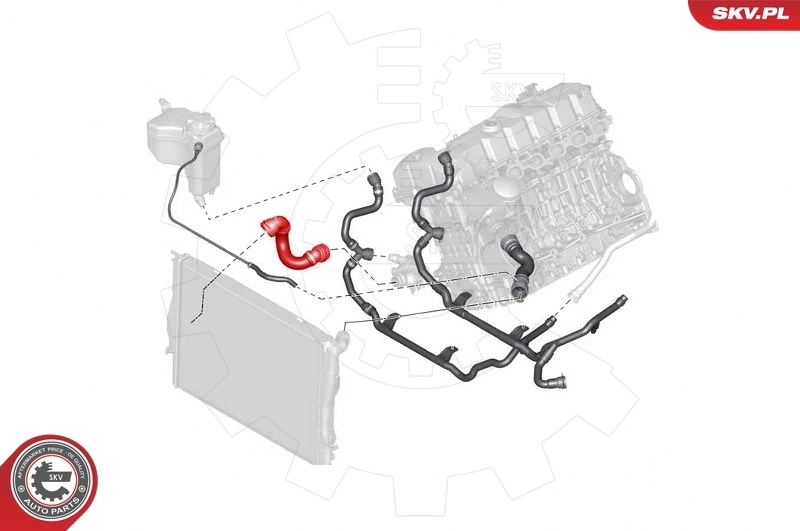 Radiator Hose 43SKV737