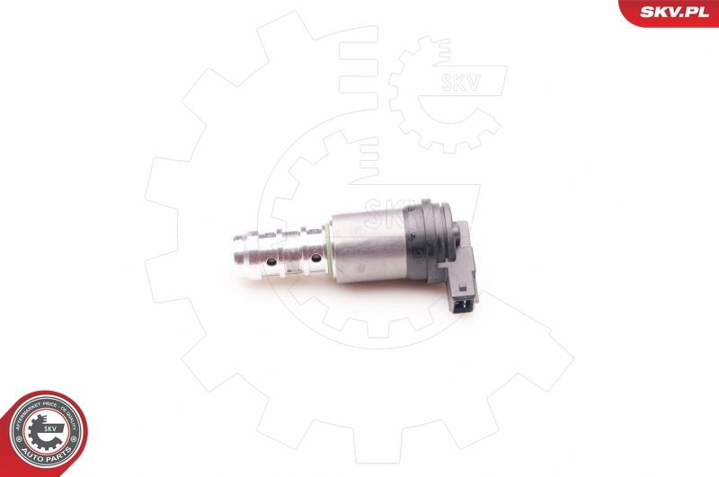 Control Valve, camshaft adjustment 39SKV013