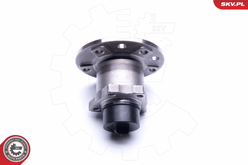 ESEN SKV 29SKV278 Wheel Bearing Kit