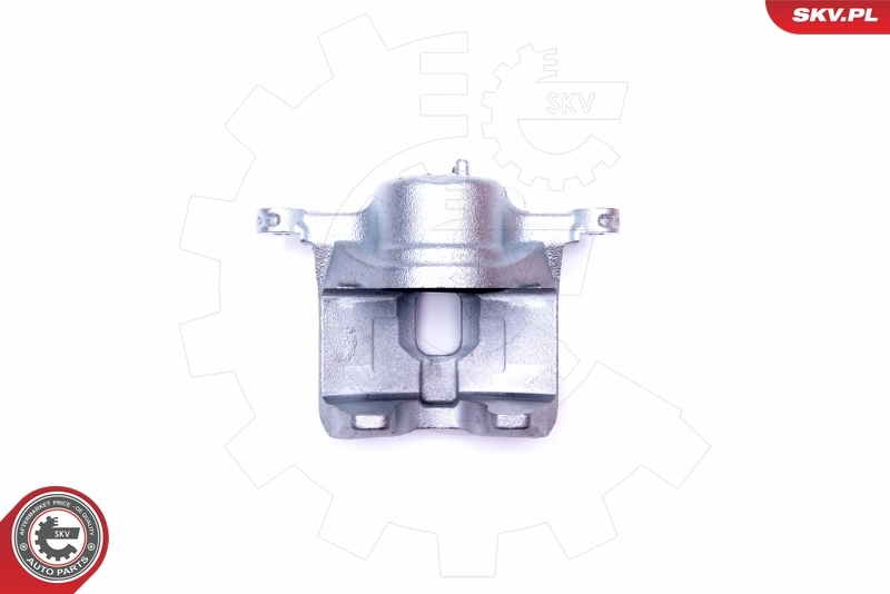 Brake Caliper 42SKV692