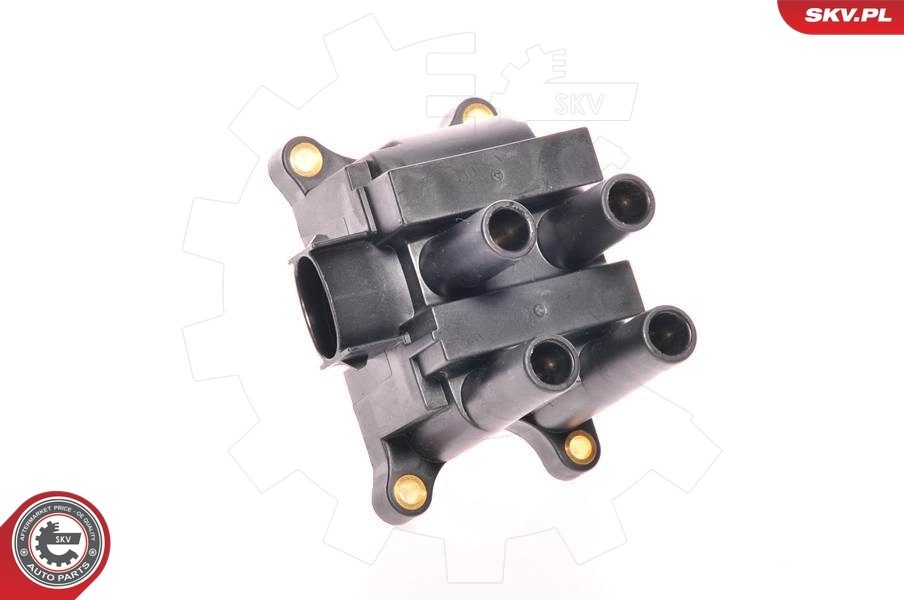 Ignition Coil 03SKV015