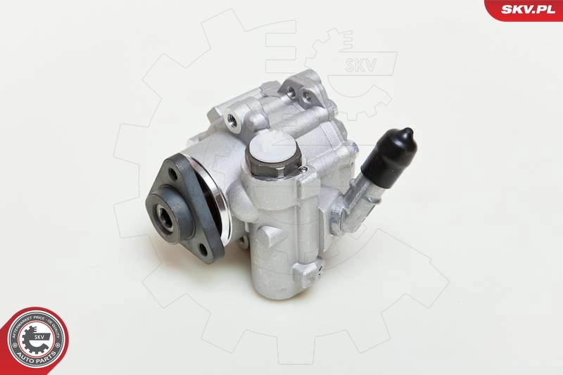 Hydraulic Pump, steering 10SKV048