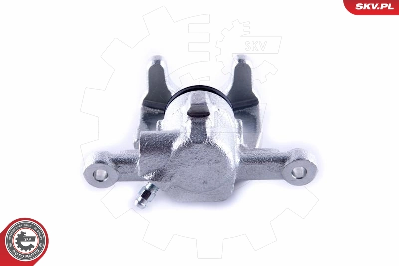 Brake Caliper 55SKV233