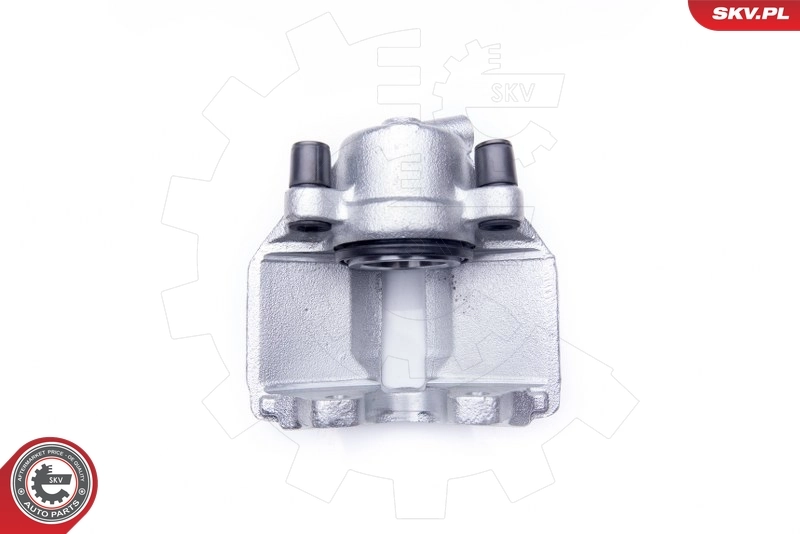 Brake Caliper 42SKV031