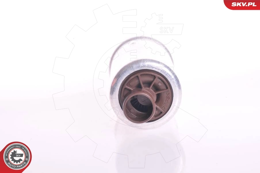Fuel Pump 02SKV258