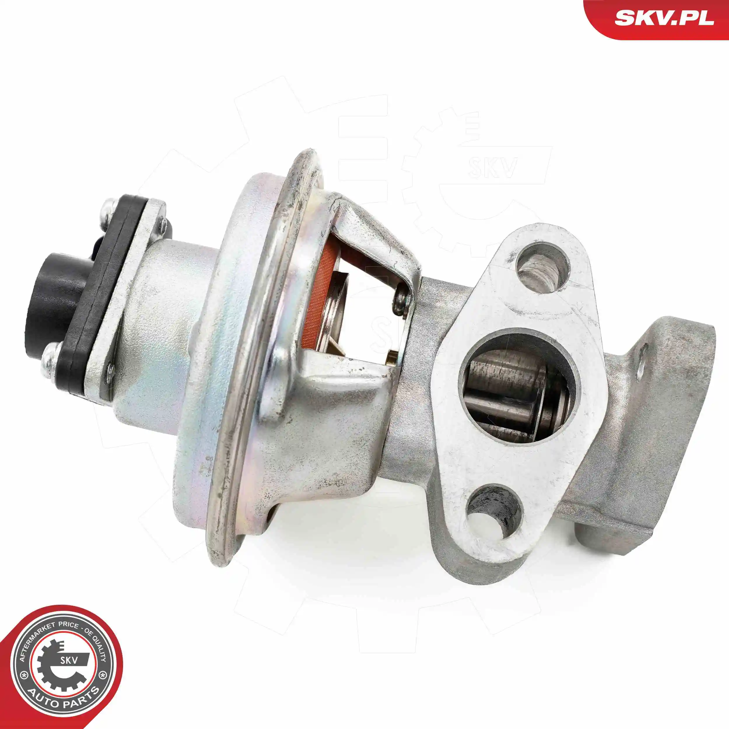 EGR Valve 14SKV262