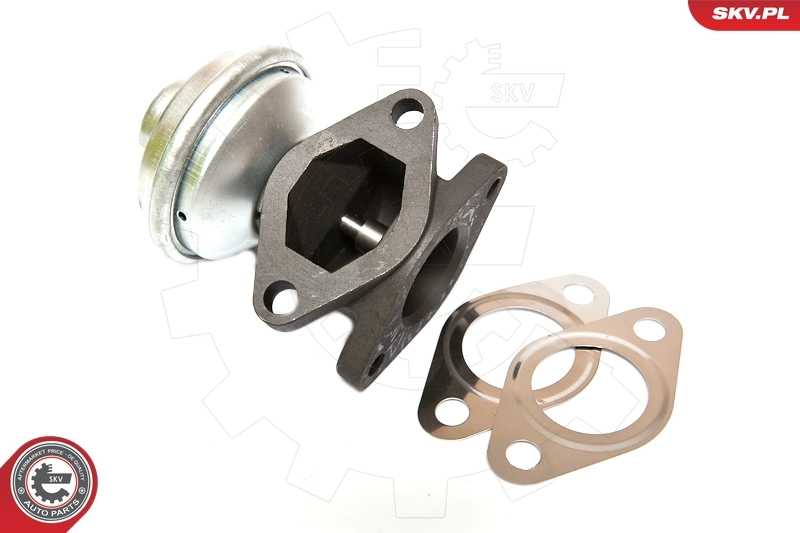 EGR Valve 14SKV052