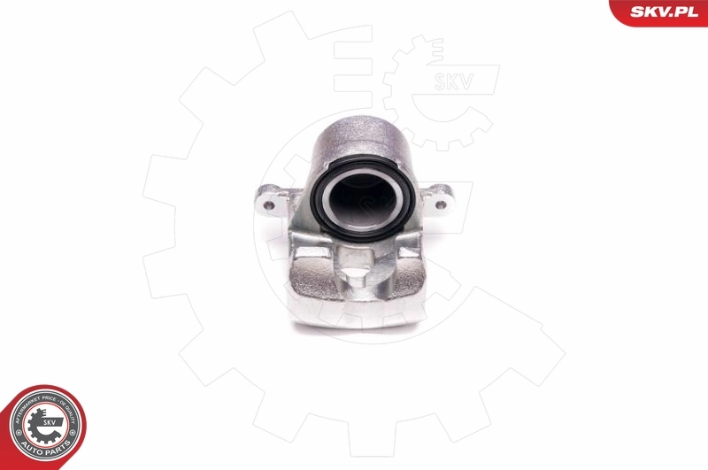 Brake Caliper 23SKV421