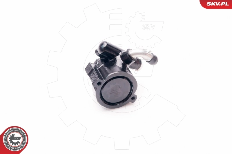 Hydraulic Pump, steering 10SKV229