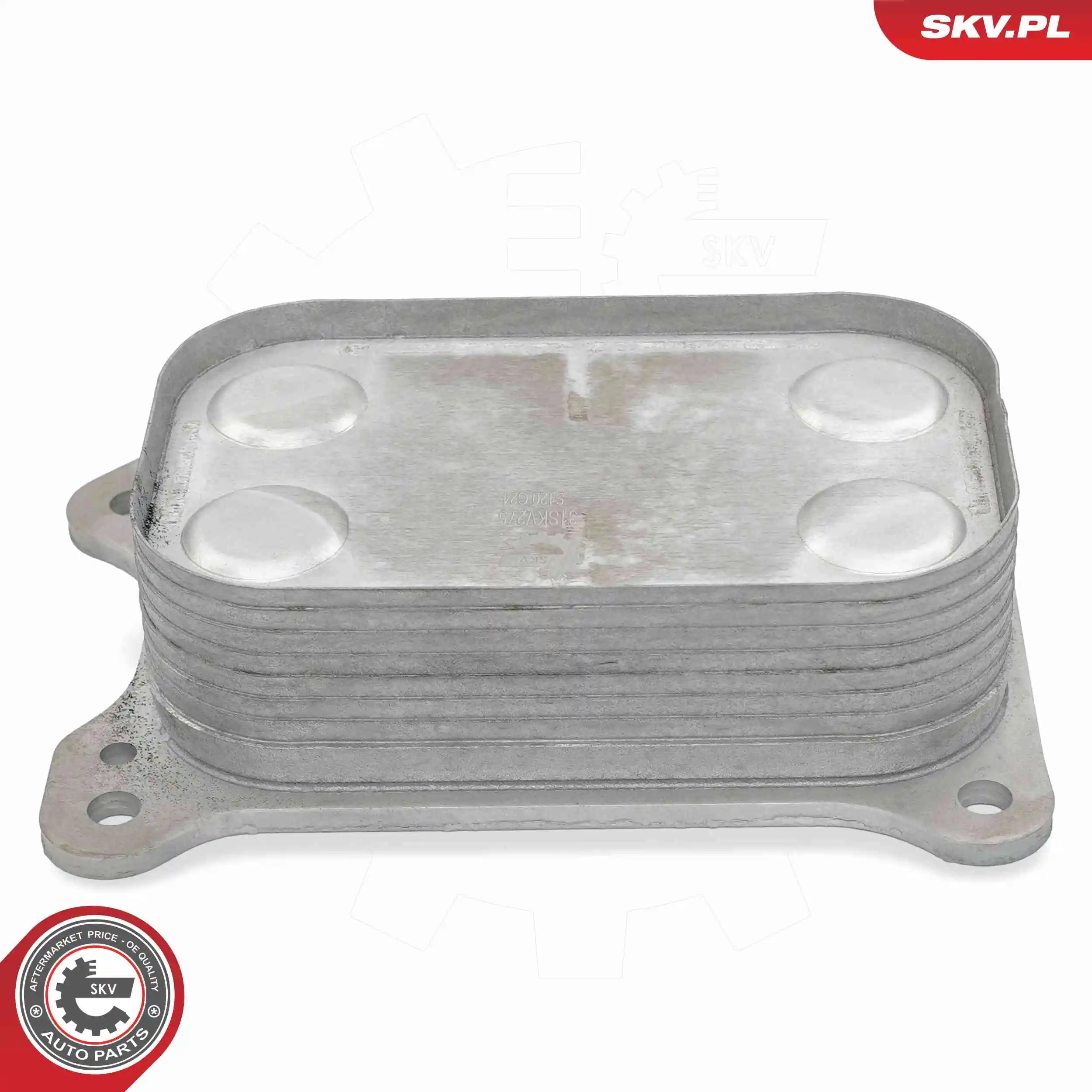 Oil Cooler, engine oil 31SKV275