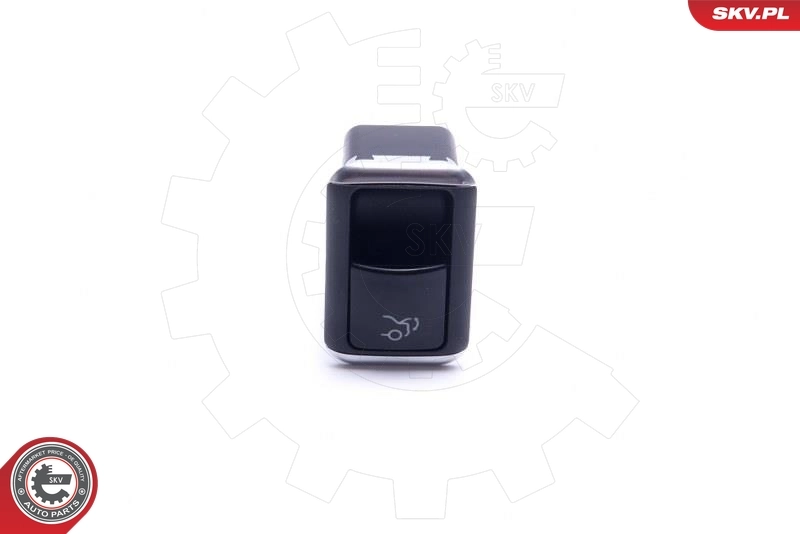 Switch, tailgate release 16SKV395