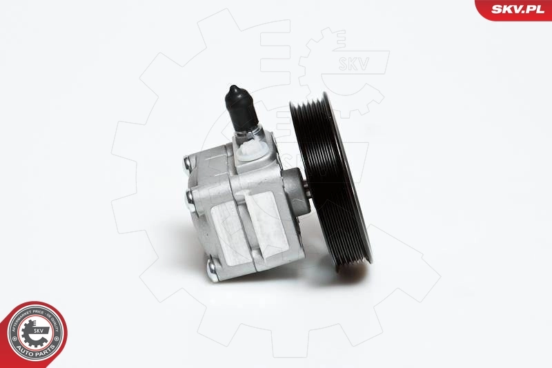 Hydraulic Pump, steering 10SKV027