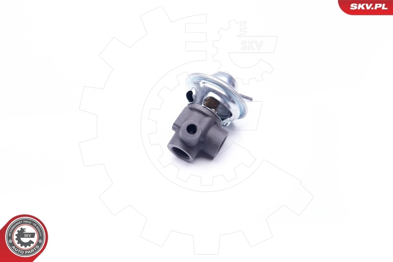ESEN SKV 14SKV187 EGR Valve