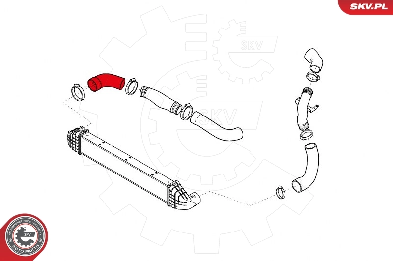 Charge Air Hose 24SKV817