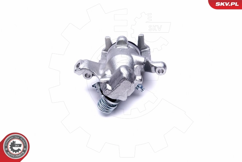 Brake Caliper 46SKV323