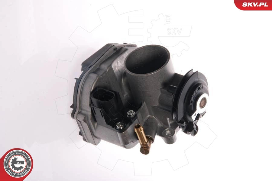 Throttle Body 12SKV015
