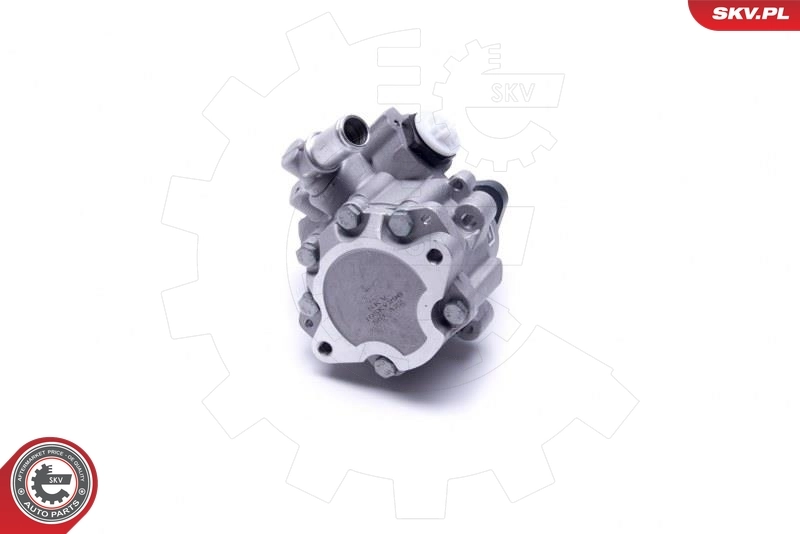 Hydraulic Pump, steering 10SKV296