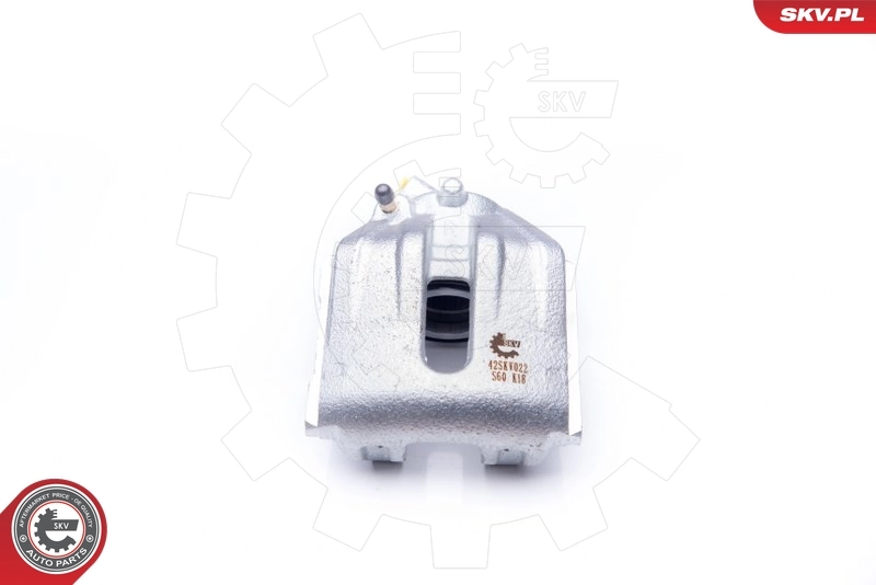 Brake Caliper 42SKV022