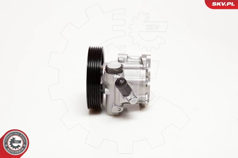 ESEN SKV 10SKV098 Hydraulic Pump, steering
