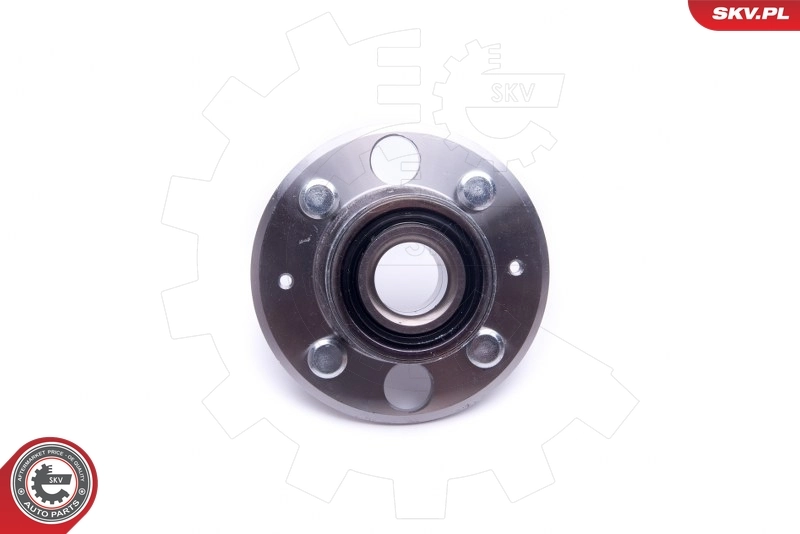 ESEN SKV 29SKV351 Wheel Bearing Kit