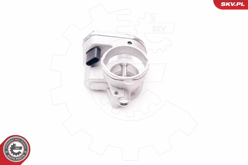 Throttle Body 12SKV055