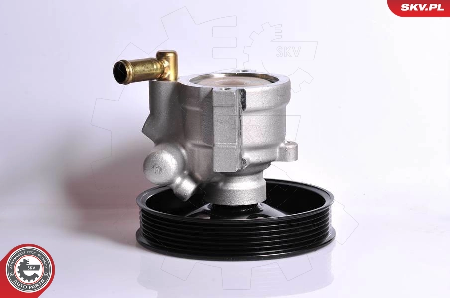 Hydraulic Pump, steering 10SKV083