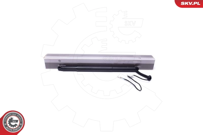 Electric Motor, tailgate 52SKV924