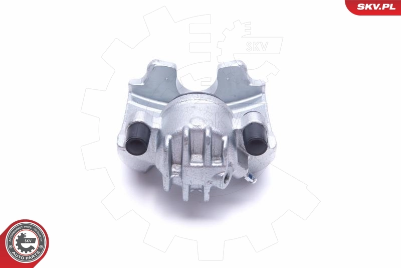Brake Caliper 55SKV811