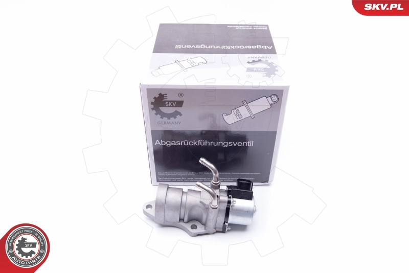 EGR Valve 14SKV190