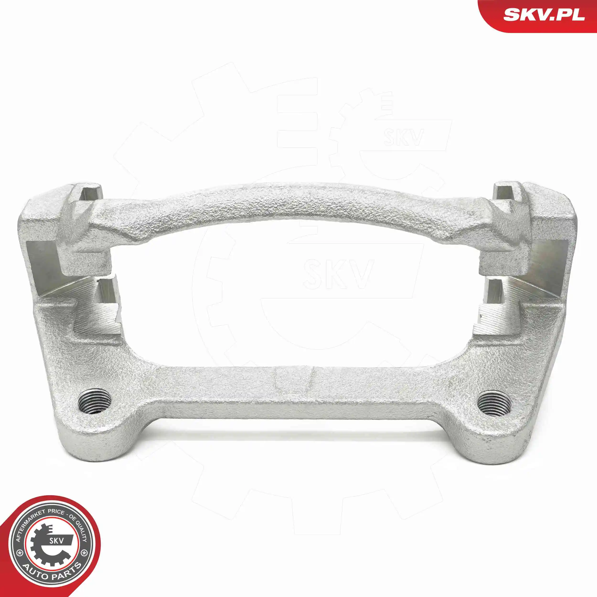 Bracket, brake caliper 74SKV021