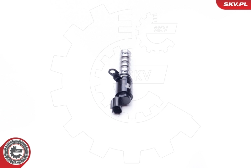 Control Valve, camshaft adjustment 39SKV019