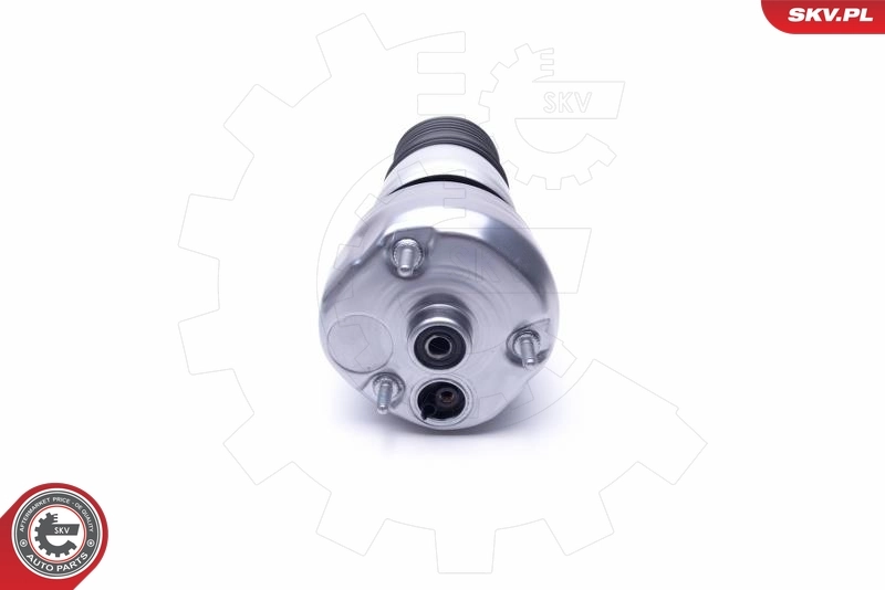 Air Spring, suspension 58SKV062