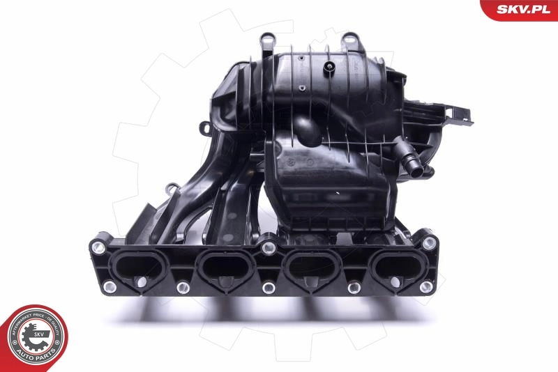 Intake Manifold Module 49SKV042