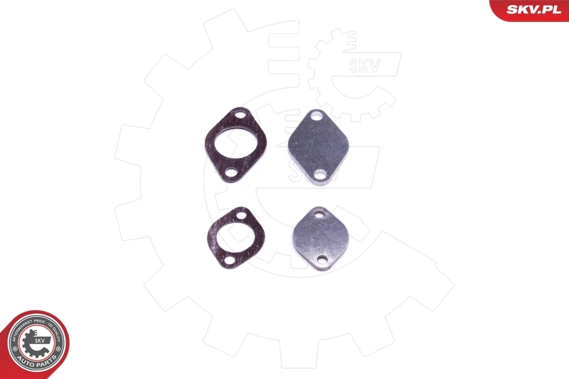 ESEN SKV 14SKV561 Repair Set, EGR valve