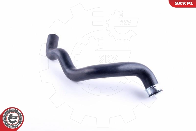 Radiator Hose 43SKV893