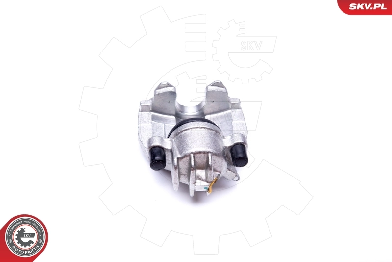 Brake Caliper 23SKV561