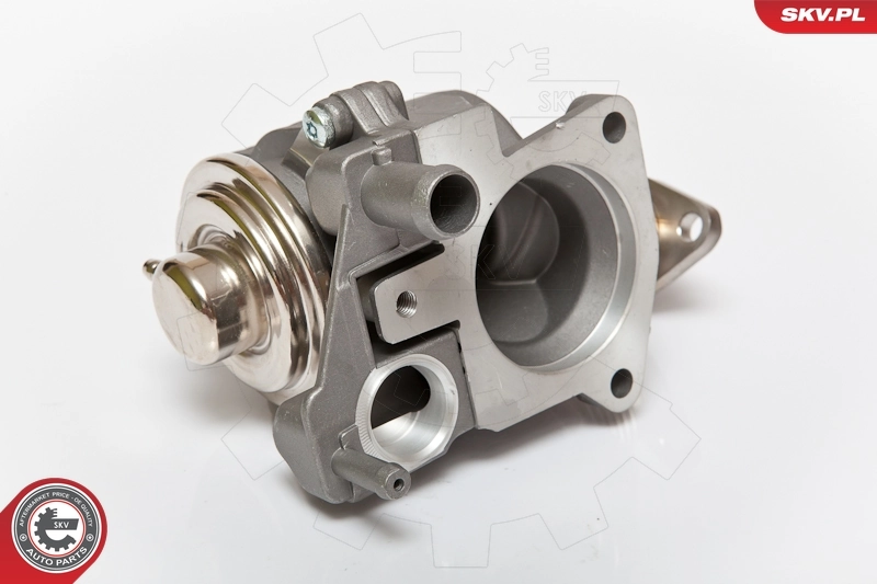 EGR Valve 14SKV063