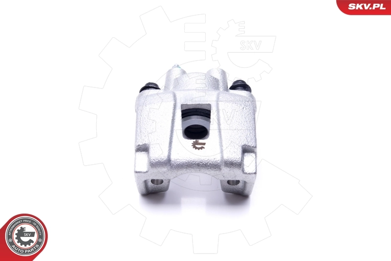 Brake Caliper 45SKV843