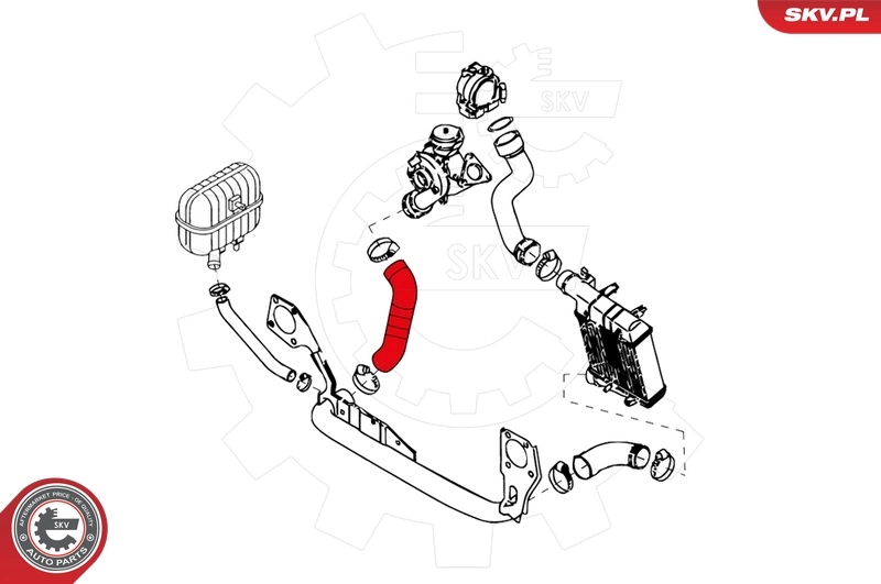 Charge Air Hose 24SKV113