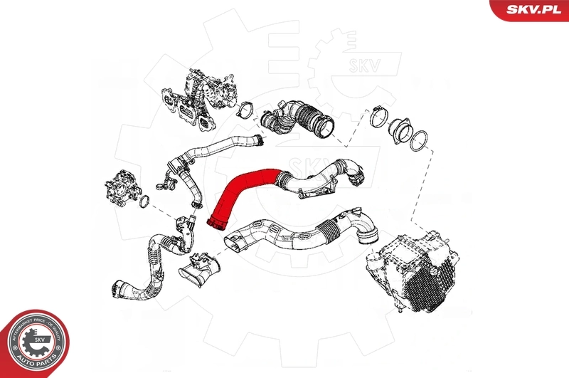 Charge Air Hose 43SKV095