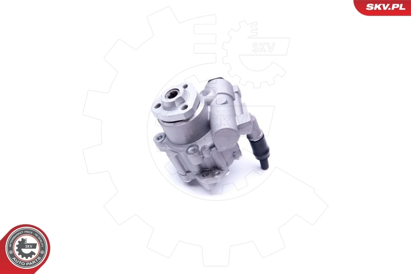 Hydraulic Pump, steering 10SKV256