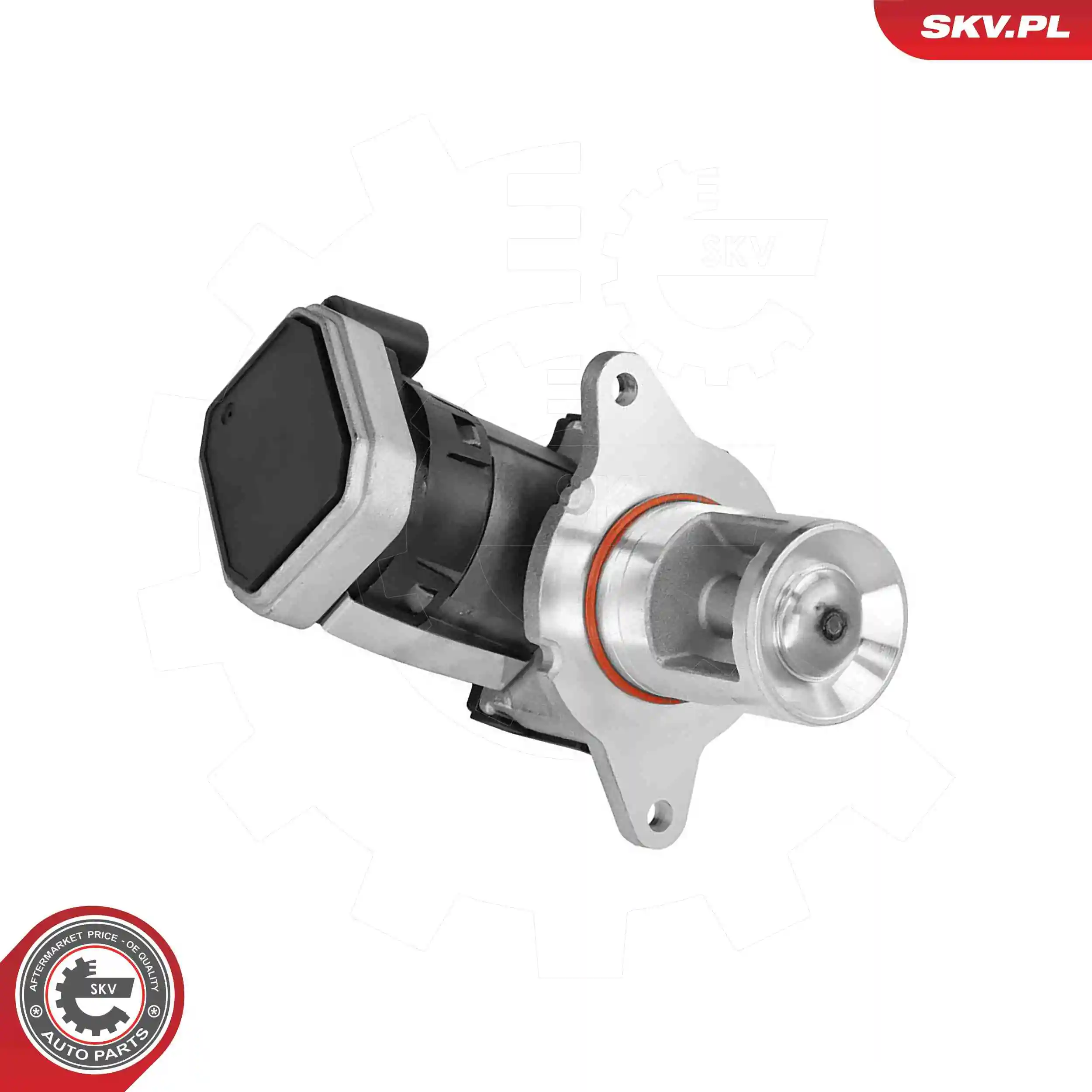 EGR Valve 14SKV307