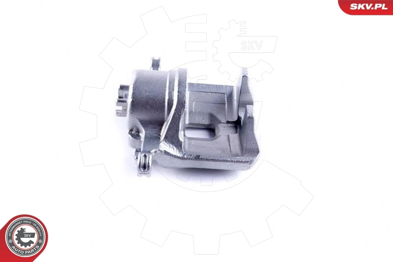 Brake Caliper 46SKV901