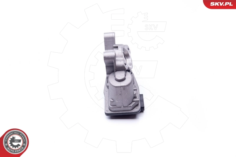 EGR Valve 14SKV103