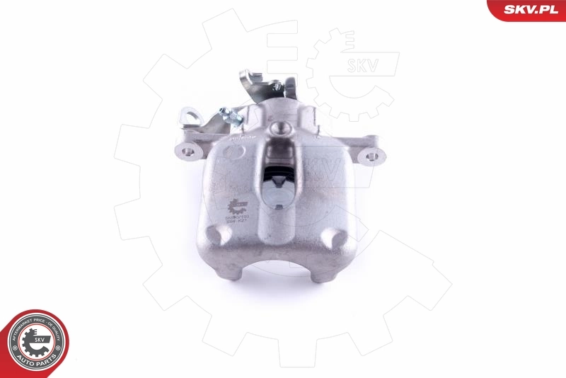 Brake Caliper 55SKV193