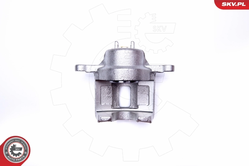 Brake Caliper 34SKV331