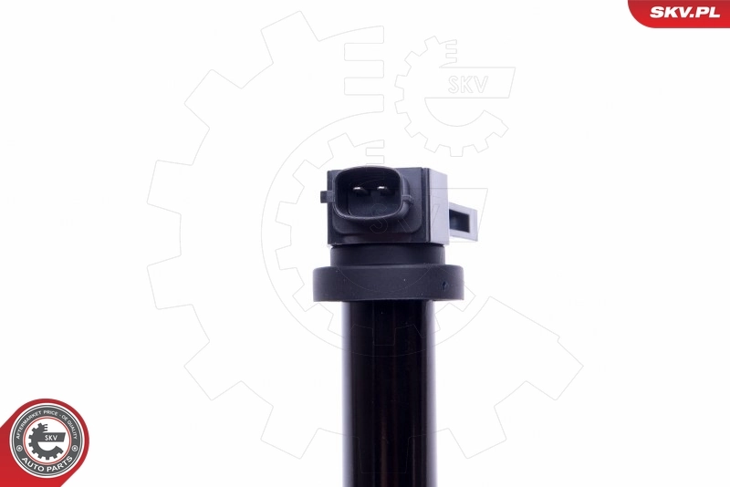 Ignition Coil 03SKV315