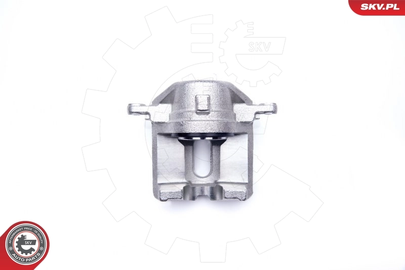 Brake Caliper 34SKV841