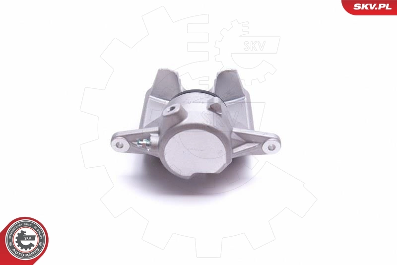 Brake Caliper 46SKV791